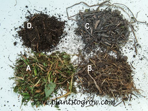 A. fresh just chopped and mixed plant material, B. 2-3 month old compost taken from the edge of the pile, C. 2-3 month old compost taken from the center of the pile.  Notice the white colration which is fungus, which is good. D. finished compost about 8-9 months old