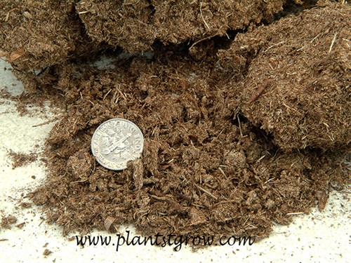 peat moss